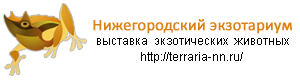 Нижегородский экзотариум Нижегородский экзотариум